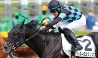 【競馬法100周年記念予想】阪神芝2000mで“出走していれば迷わず買いの種牡馬 ” 牡馬・セン馬なら複勝率55％！