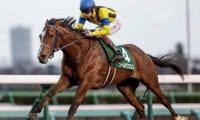 混戦模様の皐月賞 障害GIの中山グランドジャンプなど/今週の競馬界の見どころ