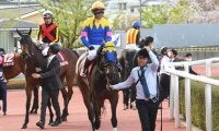 【阪神牝馬S】売上は33億9494万6900円で昨年より約13億円増加