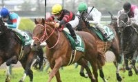 【海外競馬】豪G1オールエイジドS出走のホウオウアマゾン カンタベリー競馬場で追い切り
