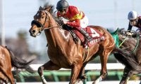 【皐月賞展望】牡馬クラシック第一弾、より短い距離の実績が必要