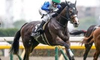 前走重賞で2着のストーリアなど 福島牝馬S出走想定馬16頭