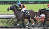【下総S】レーンが本日3勝目！ガンダルフで内から抜け出し快勝