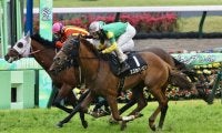 【山藤賞】10番人気 スズカハービンが混戦を制する