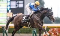 【福島牝馬S予想オッズ】ストーリアが予想1番人気