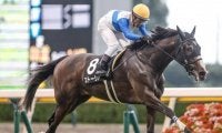 【福島牝馬S枠順確定】ストーリアは7枠13番、クリノプレミアムは6枠11番