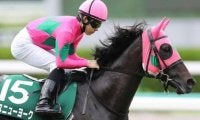 小回り1800mはベスト舞台 福島牝馬Sはミスニューヨークが差し切る