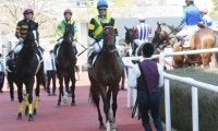 【今日の注目ポイント】京都競馬場がリニューアルされ2年半ぶりに再開