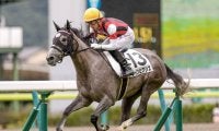 【福島牝馬S予想】ヴィクトリアMとのつながりよりも中山牝馬Sとの関連性を重視
