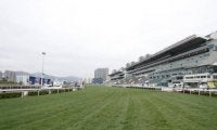 【海外競馬】2023香港チャンピオンズデーはグリーンチャンネルで無料放送