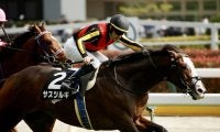 【新緑賞】単勝1.2倍 サスツルギが人気に応える