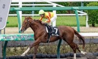 【園田・兵庫CS枠順確定】ミトノオーは5枠6番、ベラジオソノダラブは6枠7番