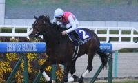 3歳マイル王決定戦のNHKマイルC GWは重賞が目白押し/今週の競馬界の見どころ