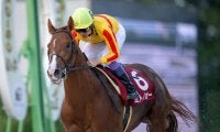 【兵庫CS】武豊 ミトノオーが6馬身差の圧勝！圧巻の逃走劇を演じる