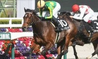 【京都新聞杯枠順確定】サトノグランツは5枠6番、ダノントルネードは6枠7番