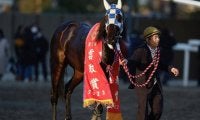重賞でマンダリンヒーロー破ったヒーローコール 南関クラシックタイトル獲得なるか/羽田盃注目馬