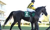 【京都ハイジャンプ出走馬・騎手確定】ダイシンクローバー＆森一馬騎手、テリオスルイ＆中村将之騎手など11頭