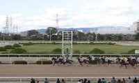 【園田・のじぎく賞結果】人気のスマイルミーシャが5馬身差で圧勝