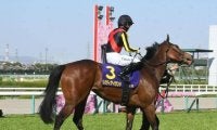 21日にオークスが開催 3歳牝馬の頂点に立つのはどの馬か/今週の競馬界の見どころ