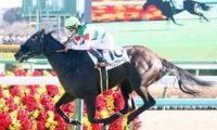 「１強ムード」のオークスで気になる良血馬２頭 デビュー３戦目での制覇が期待される、名牝の血を引く馬も