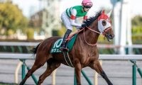 【オークス予想】有力馬「12頭」の馬体解説！ リバティアイランドを負かしうる魅力の穴馬とは