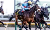【目黒記念出走馬・騎手確定】サリエラ＆C.ルメール騎手、ライラック＆M.デムーロ騎手など18頭