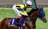 【日本ダービー】出走馬の調教後の馬体重