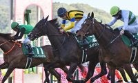 今年の福島牝馬S覇者ステラリアが登録抹消 今後は繁殖牝馬に