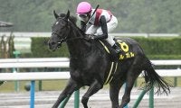 【葵S予想】3年ぶりの京都開催 3歳スプリント王に輝くのは