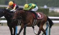 異様な熱気に包まれる日本ダービーでは、冷静な騎乗で愛馬をエスコートできるジョッキーに着目せよ