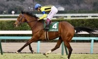 【日本ダービー】ソールオリエンスは3枠5番…無敗の2冠馬誕生なるか