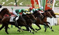【日本ダービー】レーン騎乗、タスティエーラが大混戦を制する…スタートでドゥラエレーデは落馬の波乱