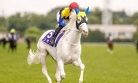 上半期のマイル王決定戦・安田記念/今週の競馬界の見どころ