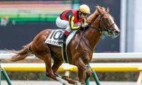 今週末から新馬戦がスタート 一番星を飾った馬の“その後”は？
