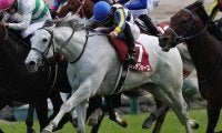 GI初制覇が多い安田記念 過去最多タイGI馬10頭出走の今年はいかに!?