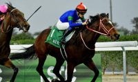 10頭中7頭が重賞ウイナー 上半期のダート短距離王決定戦/さきたま杯