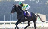 ダート重賞6勝サクセスエナジーが引退 宮崎県で種牡馬に