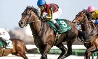 インダストリアやジャスティンカフェなど エプソムC出走想定馬18頭