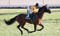 【エプソムカップ登録馬】ジャスティンカフェなど18頭