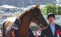 7歳馬の活躍が目立つ年 キングカメハメハ×ダンスインザダークは相性良好