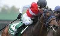エプソムCは重賞未勝利馬が6連勝中！ 近年の傾向から浮かび上がる穴馬は…
