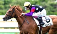 【新馬/函館5R】ファインニードル産駒 スカイキャンバスが断然人気に応える