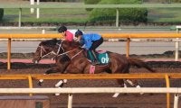 新種牡馬レイデオロ産駒初Vへ 調整続くスノーライトニング/関西馬メイクデビュー情報