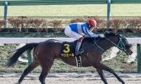 【ユニコーンS予想】ぺリエールに黄色信号!? 外国人ジョッキー優勢も近年さえないルメール騎手