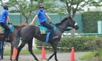 超抜時計で追い切り消化 調教師も認める素質馬ルージュスエルテ/関東馬メイクデビュー情報