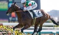 【ラジオNIKKEI賞想定馬・騎手】レーベンスティール、バルサムノートなど18頭