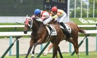 【阪神5R新馬戦結果】チークタイムが2番手から抜け出してデビュー勝ち