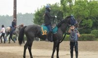 近親にダービー馬マカヒキ レイデラルースがレイデオロ産駒初勝利を狙う/関東馬メイクデビュー情報