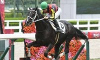 現2歳のノーザン×キズナ産駒は例年の約3倍 秋の重賞戦線へ期待高まる勝ちっぷり