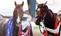 【JDD選定馬】無敗の三冠制覇かかるミックファイア 兵庫CSで6馬身差圧勝のミトノオーなど
